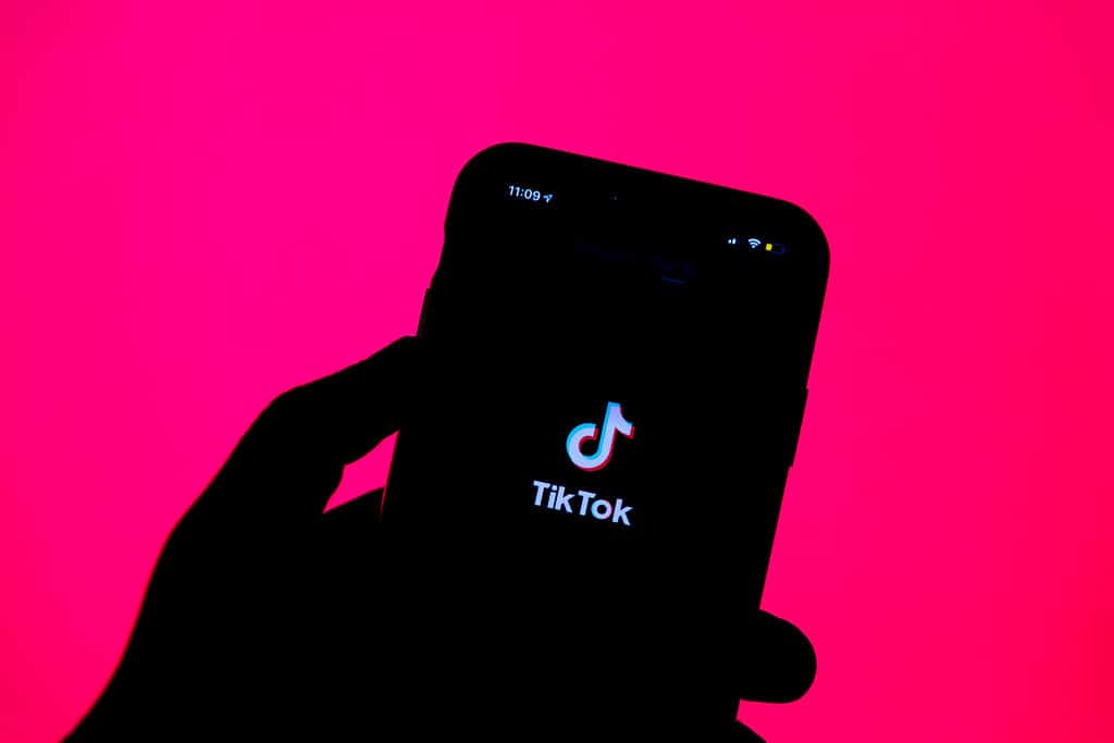 A Step-by-Step Guide to Blocking Users on TikTok in 2024 - Reporting Inappropriate Content